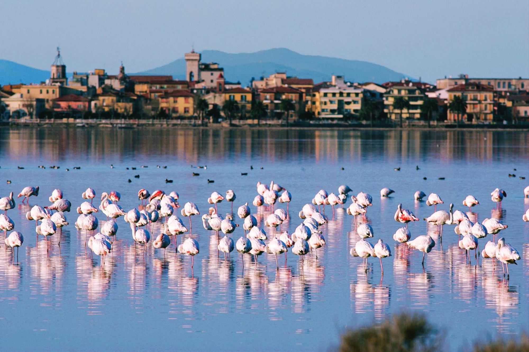 Park Hotel Residence Orbetello Esterno foto